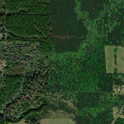 Jasper County map(satellite map)