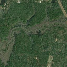 Live Oak Landing Alabama High Resolution Satellite Map