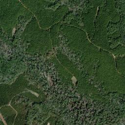 Satellite view of Steelwood Country Club