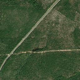 Forest Highlands Florida High Resolution Satellite Map