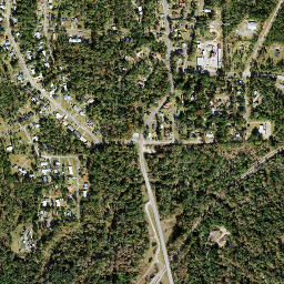 River Junction Florida High Resolution Satellite Map