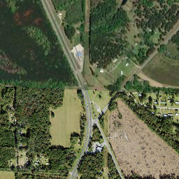 Darsey Florida High Resolution Satellite Map