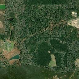 Sconiers Mill Florida High Resolution Satellite Map