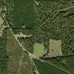 Dogtown Florida High Resolution Satellite Map