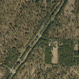 Iamonia Florida High Resolution Satellite Map