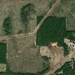 Harold Florida High Resolution Satellite Map