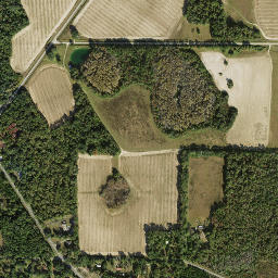 Mount Pleasant Florida High Resolution Satellite Map