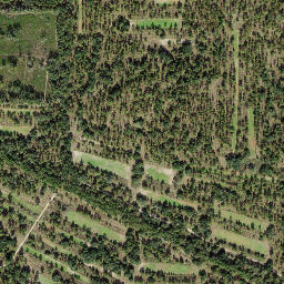 Fincher Florida High Resolution Satellite Map