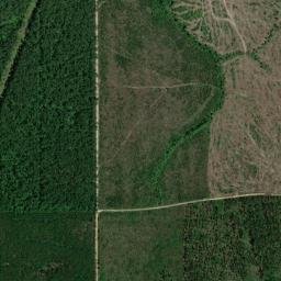 Beauregard Parish map(satellite map)