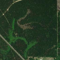 Allen Parish map(satellite map)