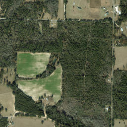 Bradford Florida High Resolution Satellite Map