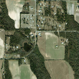 Shady Grove Florida High Resolution Satellite Map