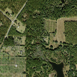 Branchville Florida High Resolution Satellite Map