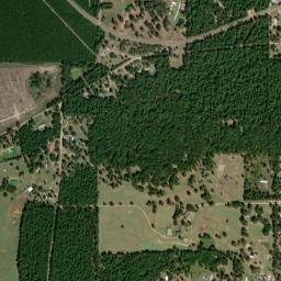 Farm to Market 1276, Livingston, TX 77351 High Resolution Satellite Map
