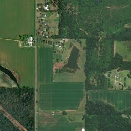 Yelling Settlement Alabama High Resolution Satellite Map