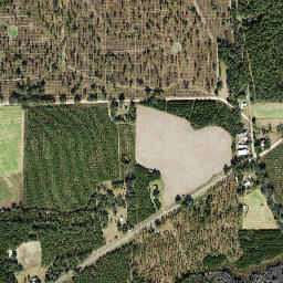 Dills Florida High Resolution Satellite Map