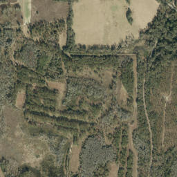 Lovett Florida High Resolution Satellite Map