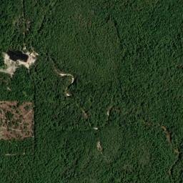 Galloway Landing Alabama High Resolution Satellite Map