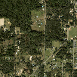 Farm Hill Florida High Resolution Satellite Map