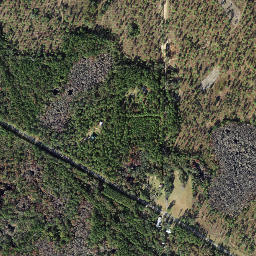 Alma Florida High Resolution Satellite Map