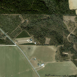 Cox Florida High Resolution Satellite Map