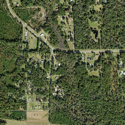 Rich Bay Florida High Resolution Satellite Map