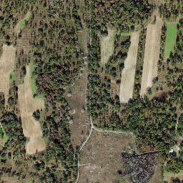 Festus Florida High Resolution Satellite Map