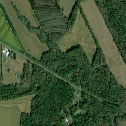 Louisiana 95, Mamou, LA 70554, USA High Resolution Satellite Map