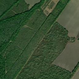 Saint Landry Parish map(satellite map)