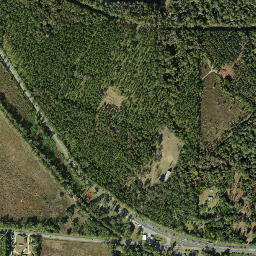 Douglas City Florida High Resolution Satellite Map