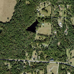 Littman Florida High Resolution Satellite Map