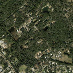 Gonzalez map(satellite map)