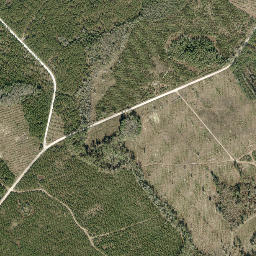 Watson Florida High Resolution Satellite Map