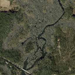 Millers Ferry Florida High Resolution Satellite Map