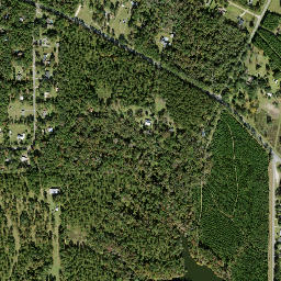 Scotland Florida High Resolution Satellite Map