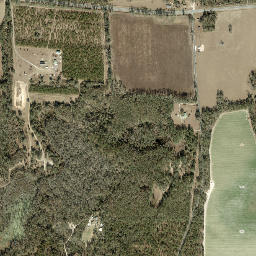 Octahatchee Florida High Resolution Satellite Map