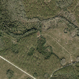 Cypress Creek Florida High Resolution Satellite Map
