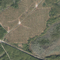 Sargent Florida High Resolution Satellite Map