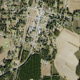 Greensboro Florida High Resolution Satellite Map