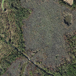 1643 West Lake Road Monticello FL 32344 High Resolution Satellite Map