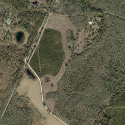 Bailey Florida High Resolution Satellite Map