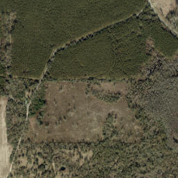 Hamburg Florida High Resolution Satellite Map