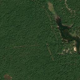 Sam Houston National Forest Double Lake Trail Coldspring TX High Resolution Satellite Map