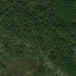 Satellite view of Wildwood Golf Course