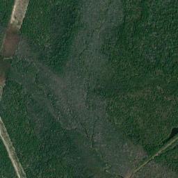 Satellite view of Eglin Golf Course