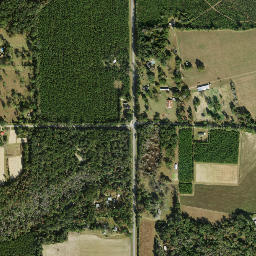 Sawdust Florida High Resolution Satellite Map