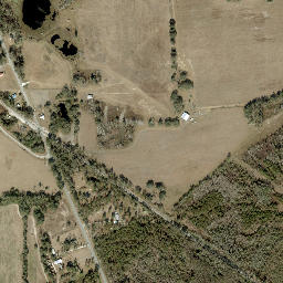 Rawls Florida High Resolution Satellite Map