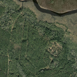 Joels Landing Florida High Resolution Satellite Map