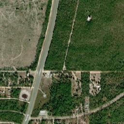 Betts Florida High Resolution Satellite Map
