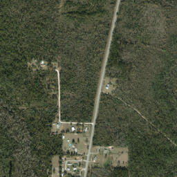 Selman Florida High Resolution Satellite Map